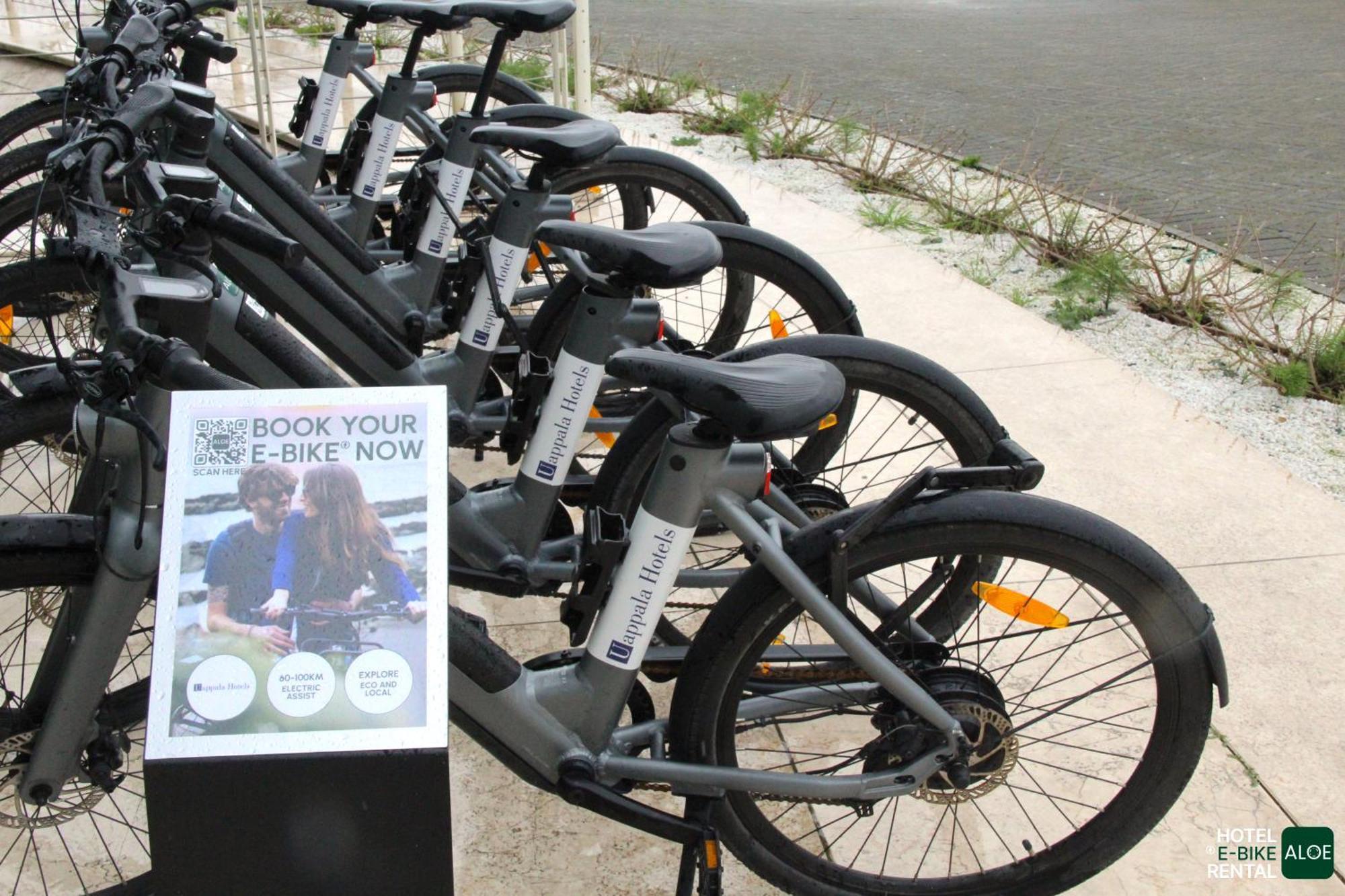 Pisa Tower Plaza Ξενοδοχείο Εξωτερικό φωτογραφία Free bikes for students